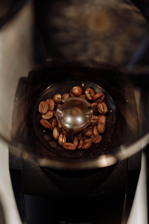 
A Close-Up Shot of Coffee Beans in a Hopper