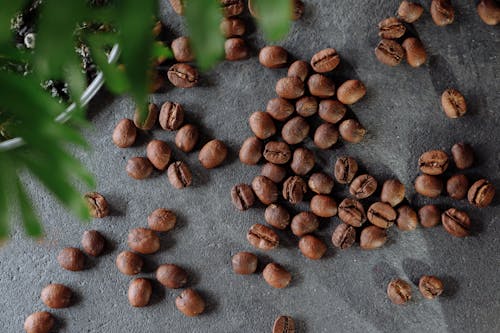 Free Brown Coffee Beans o Stock Photo