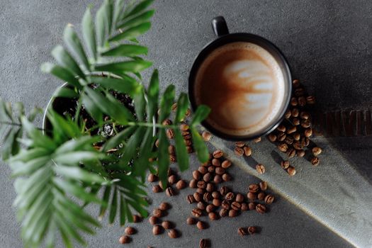 Stylish flat lay of a coffee cup with latte art, coffee beans, and a houseplant.