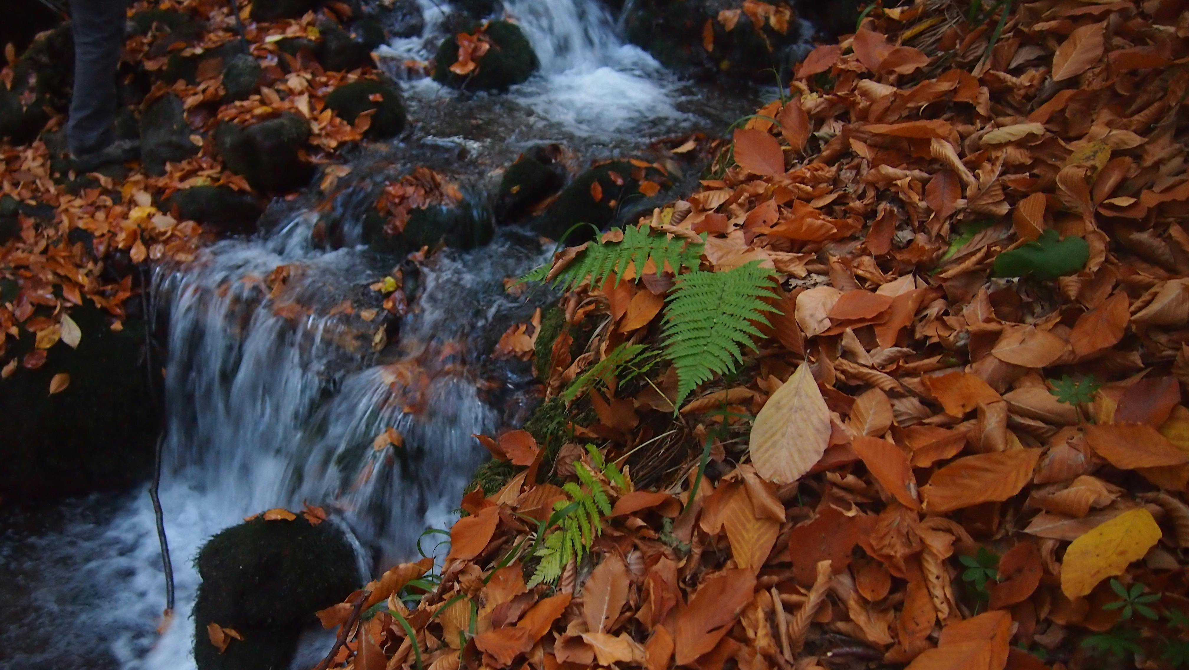 Sistema di carico e scarico leggero e flessibile per furgoni, senza necessità di banchina di carico.
