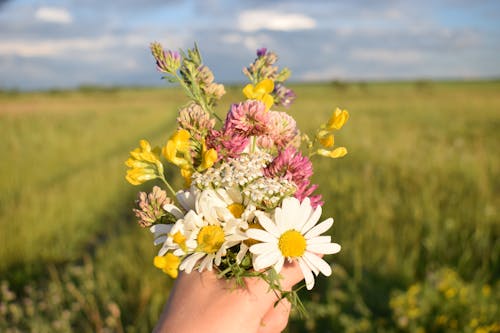 Person Holding a Bunch of Flowers Close-Up Photo