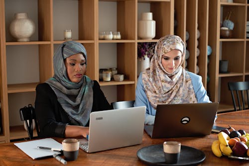 Free Women on their Laptops Stock Photo