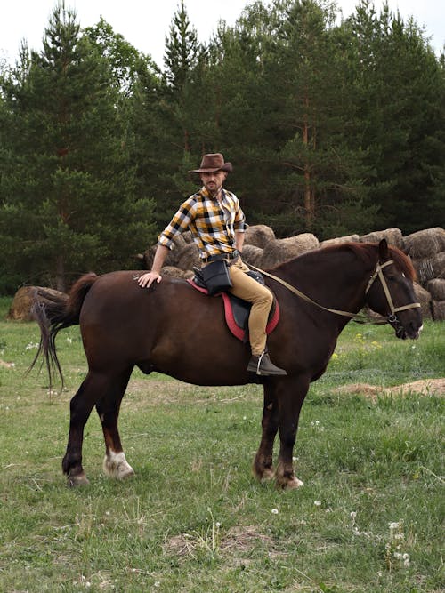 Free A Man Riding a Brown Horse Stock Photo