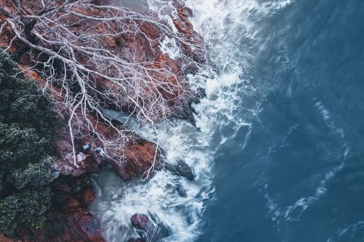 High-angle shot of a rocky shoreline with crashing waves and leafless trees, showcasing natural beauty.