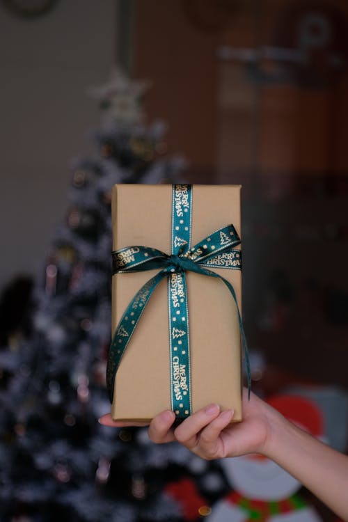 Free A Person Holding a Present  Stock Photo