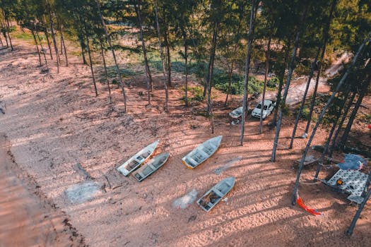 A scenic aerial shot of small boats lined up on a sandy shore amidst tall trees, captured in daylight.