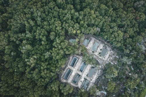 Fotobanka s bezplatnými fotkami na tému fotografia z dronu, kontajnery, les