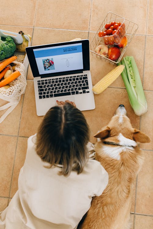 Základová fotografie zdarma na téma apple, corgi, covid-19