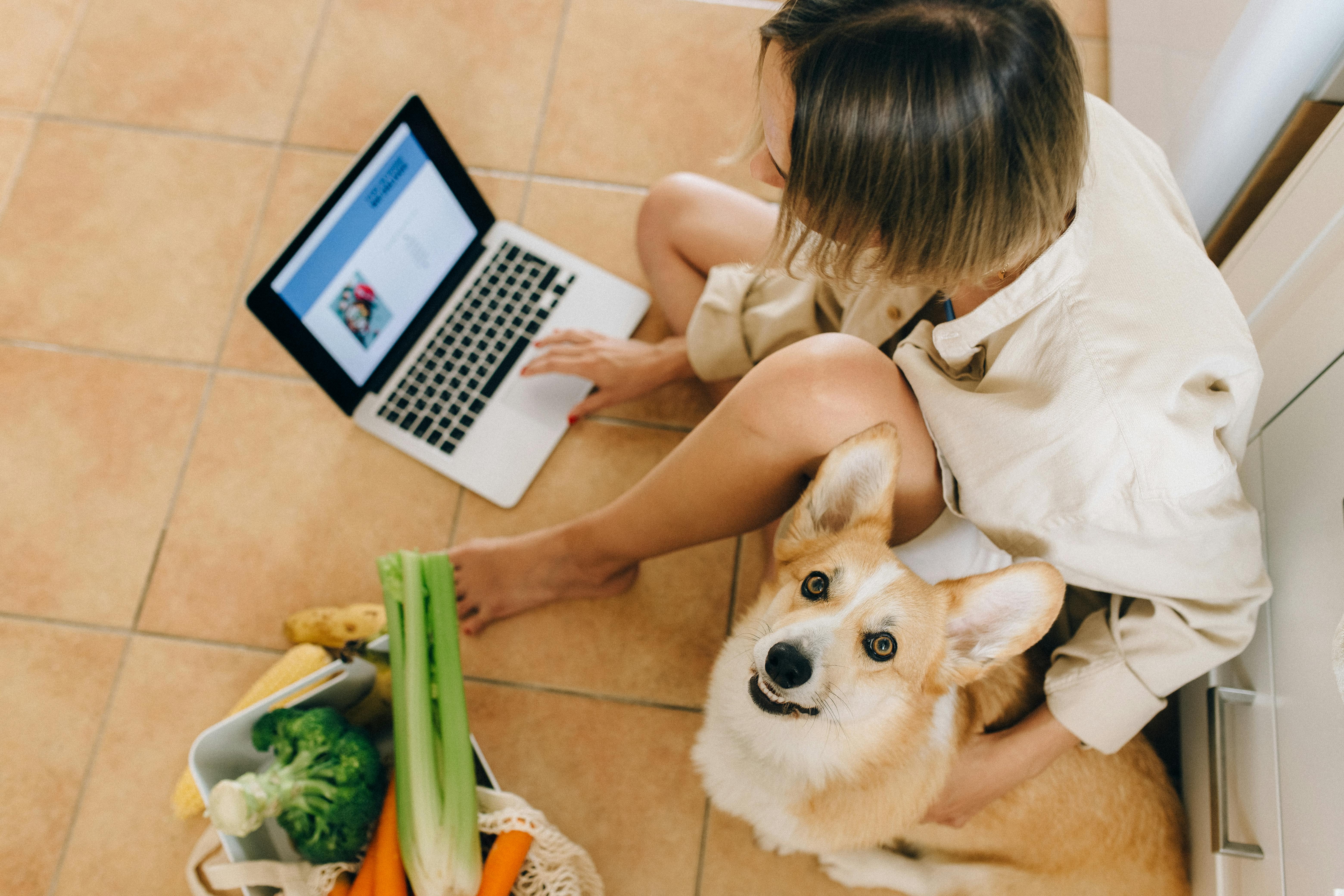 a cute dog looking up while sitting beside a person using laptop