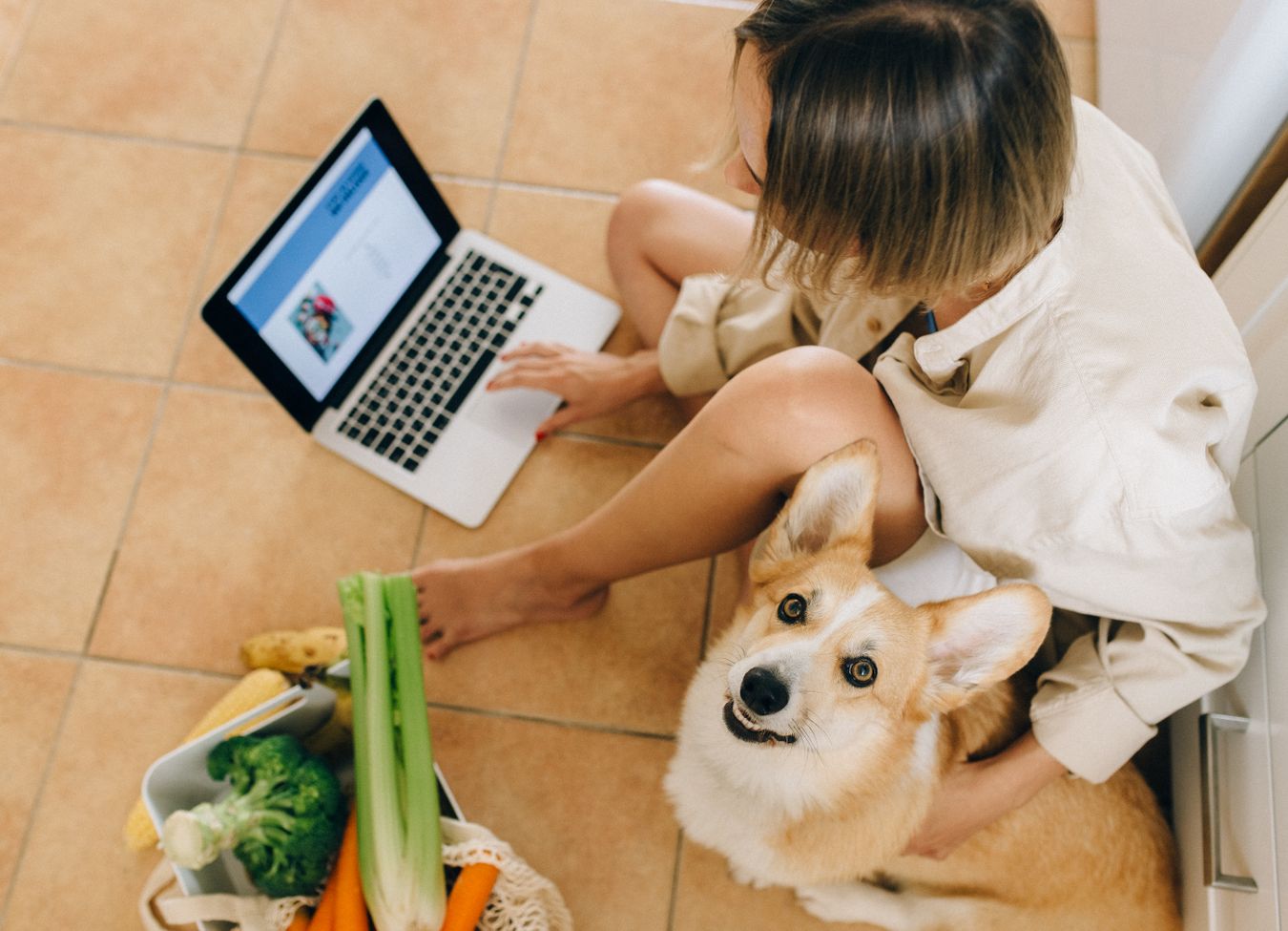 <span>Already an Affiliate? Here’s How to Get The Most Value From Your Purchase</span>