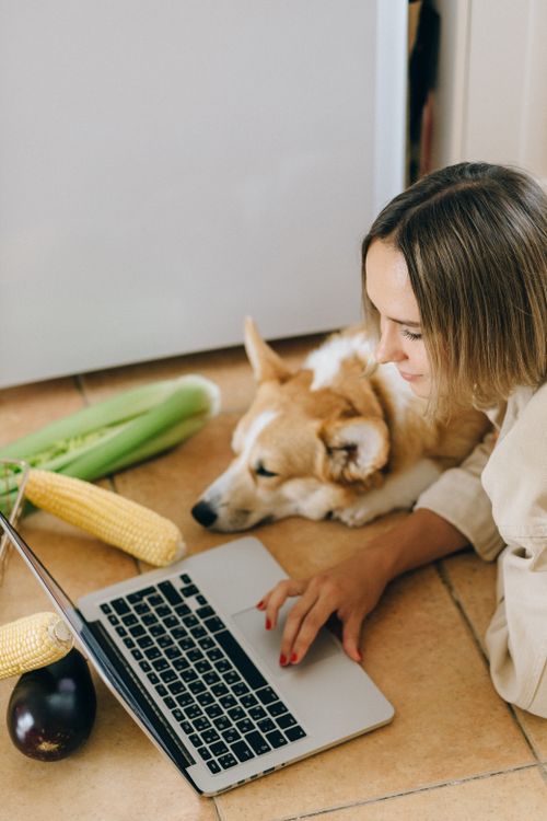 Free A woman and her corgi dog relax indoors, browsing on a laptop beside fresh corn and eggplant. Stock Photo