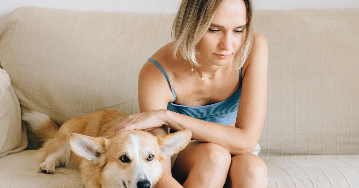 Woman using a Laptop with her Dog