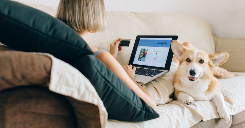 Soldes d’été : comment acheter un canapé design à -300 € en toute confiance