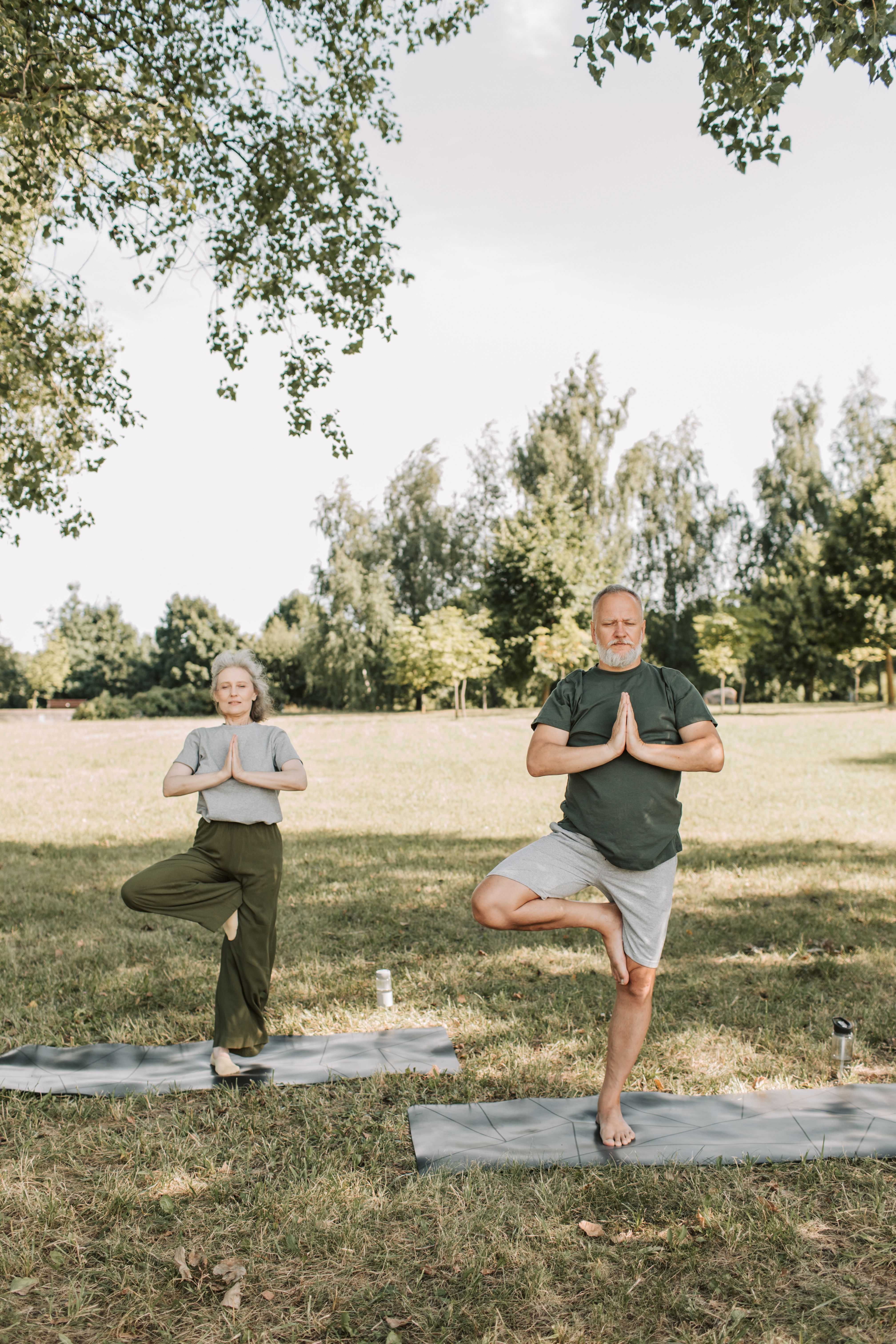 Elderly couple performing tree pose yoga outside on a sunny day in a park.