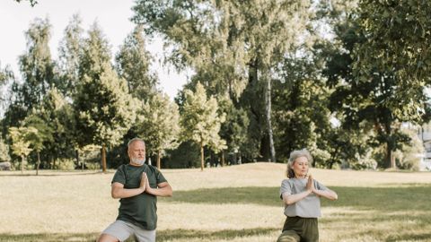 Elderly couple practicing yoga poses on mats in a sunny park setting.