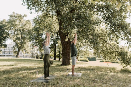 Fotobanka s bezplatnými fotkami na tému bočný pohľad, cvičenie, exteriéry