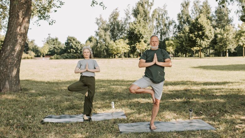 Elderly couple doing yoga in a park