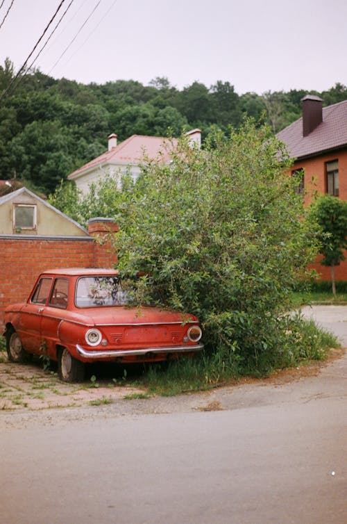 Vintage Car Parked Near a Plant