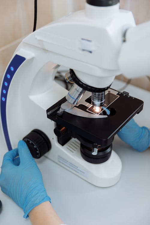 A Person Wearing Latex Gloves Using a Microscope