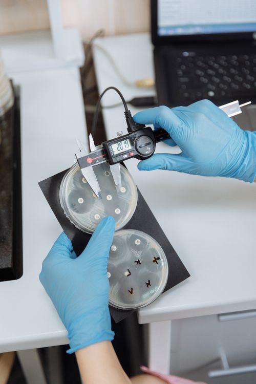 Scientist Measuring Results in a Lab · Free Stock Photo