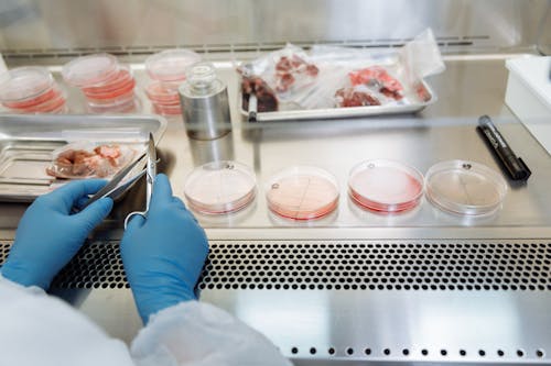 A Person Doing Laboratory Works with Specimens