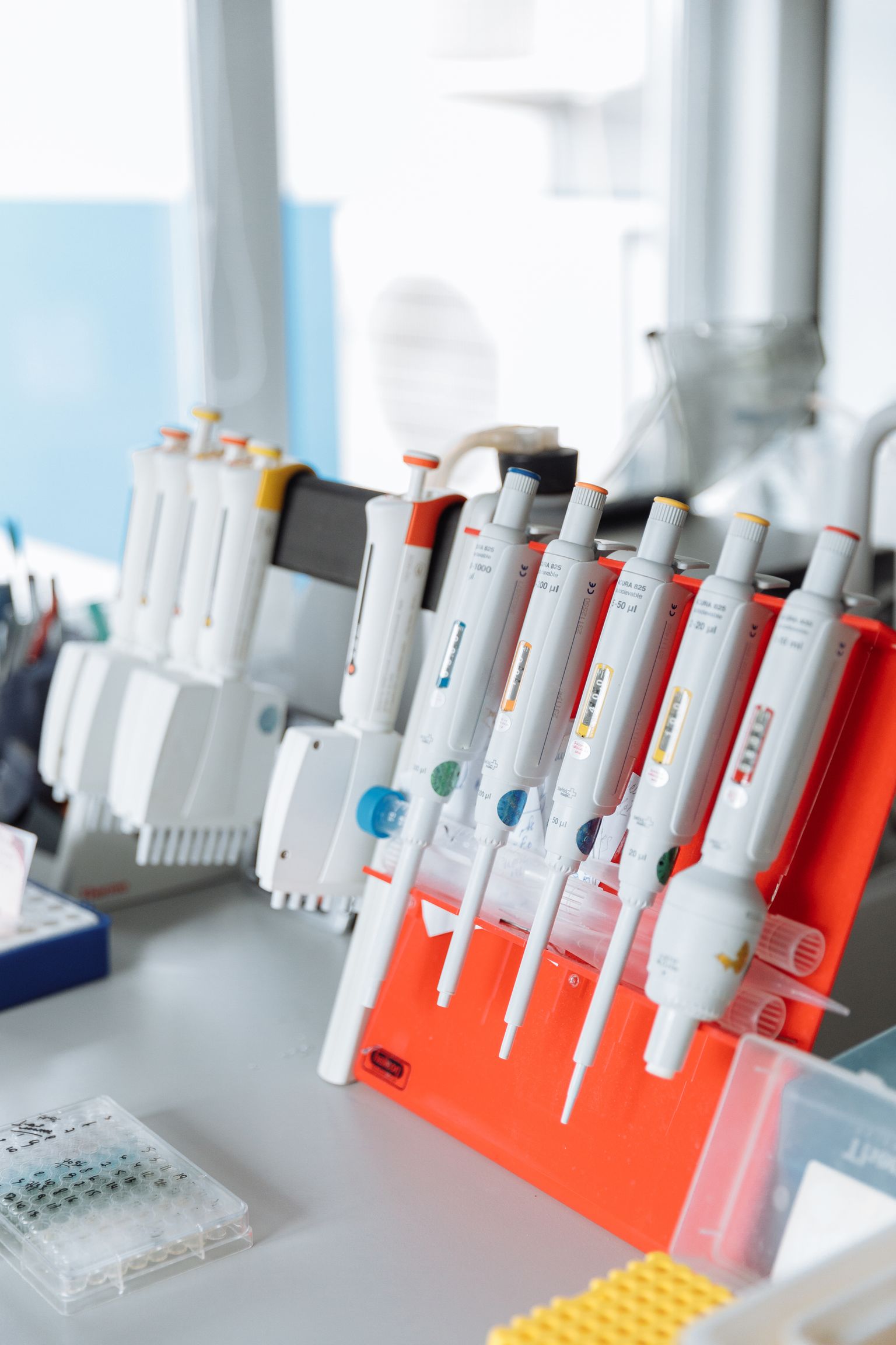 Precision pipettes organised on a laboratory bench