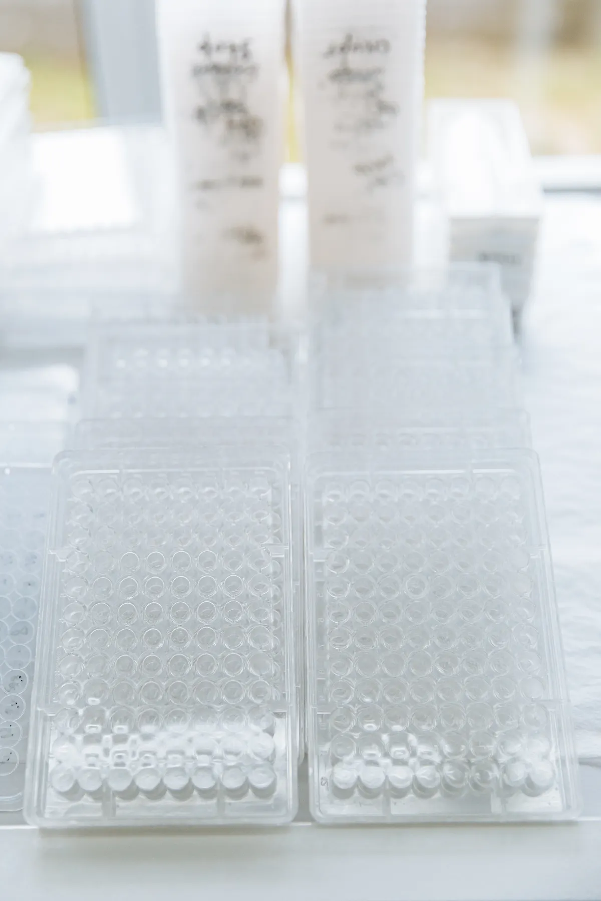 Fragmentomics and Neural Network Modeling in Circulating Tumor DNA Diagnostics