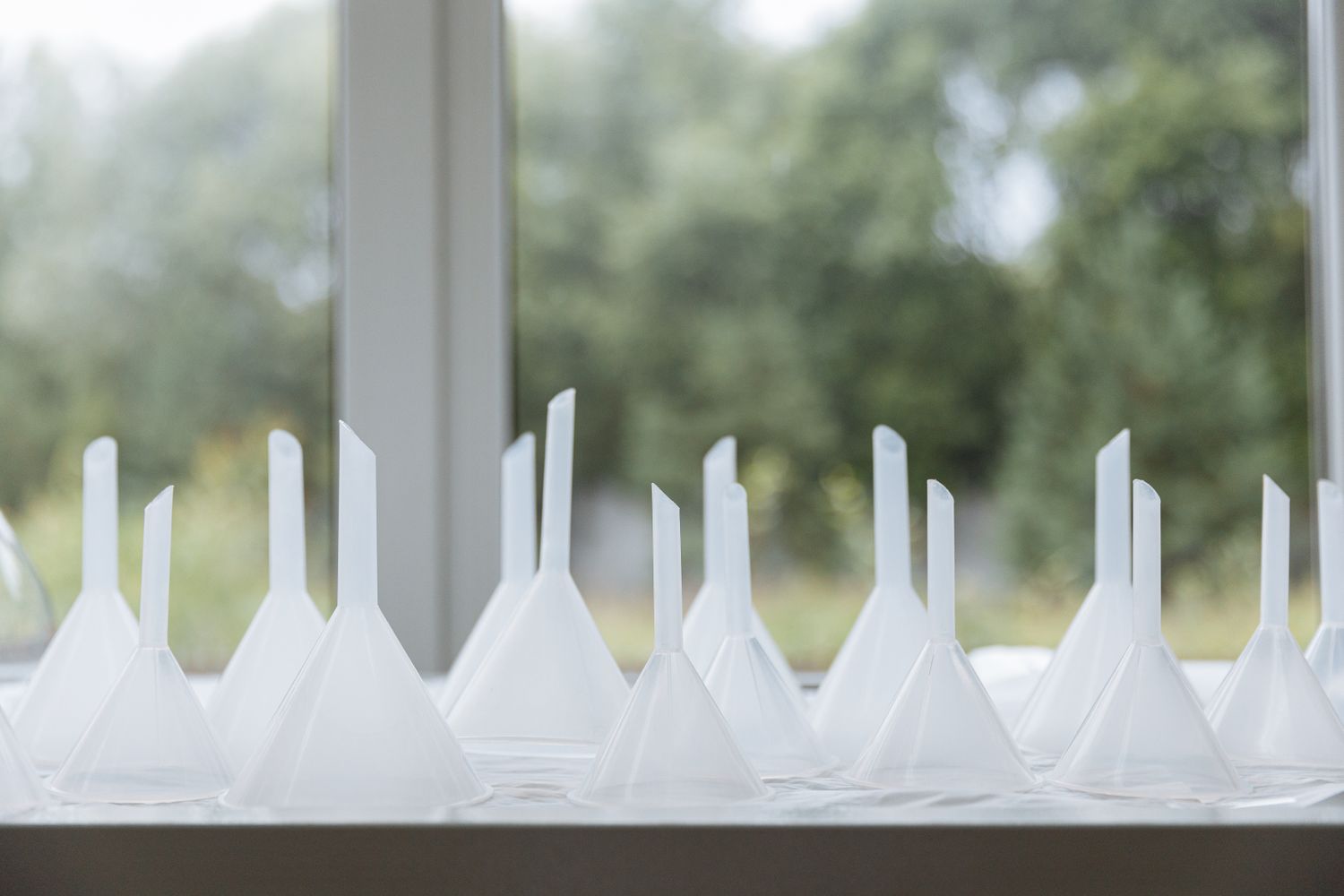 Funnel Photos, Download The BEST Free Funnel Stock Photos & HD Images