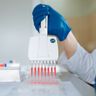 A scientist in blue gloves operates a multichannel pipette dispensing red liquid into a microplate in a bright laboratory.