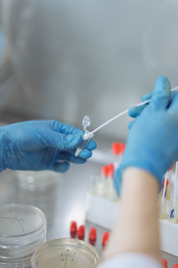 Gloved hands handling laboratory equipment