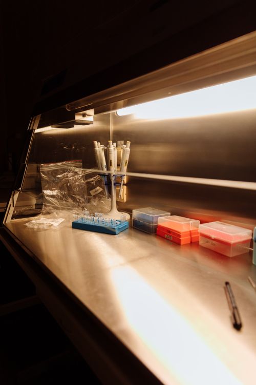 Free A well-organized laboratory desk with pipettes and plastic containers under bright lights. Stock Photo