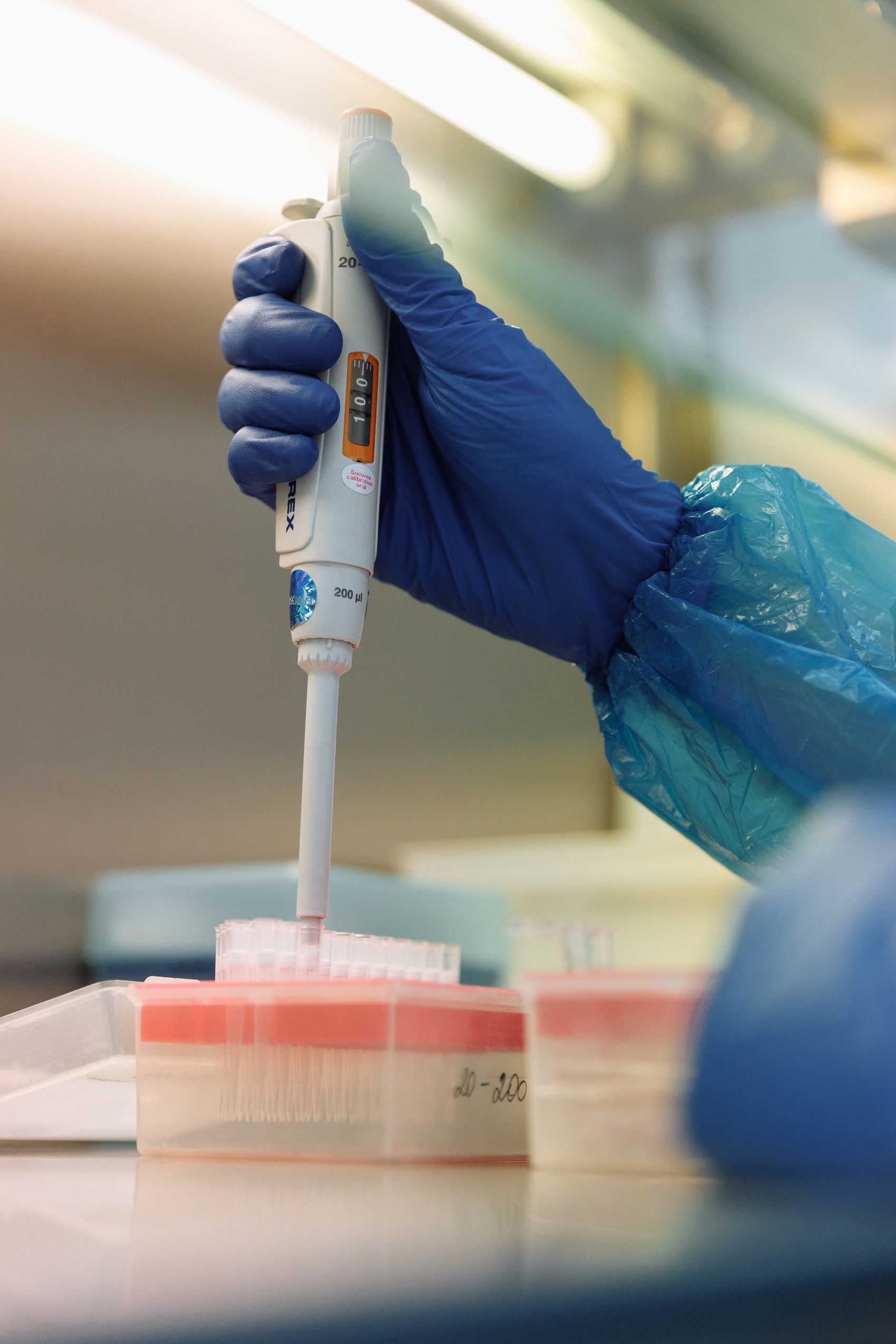 Scientist performing precise pipetting in a molecular laboratory