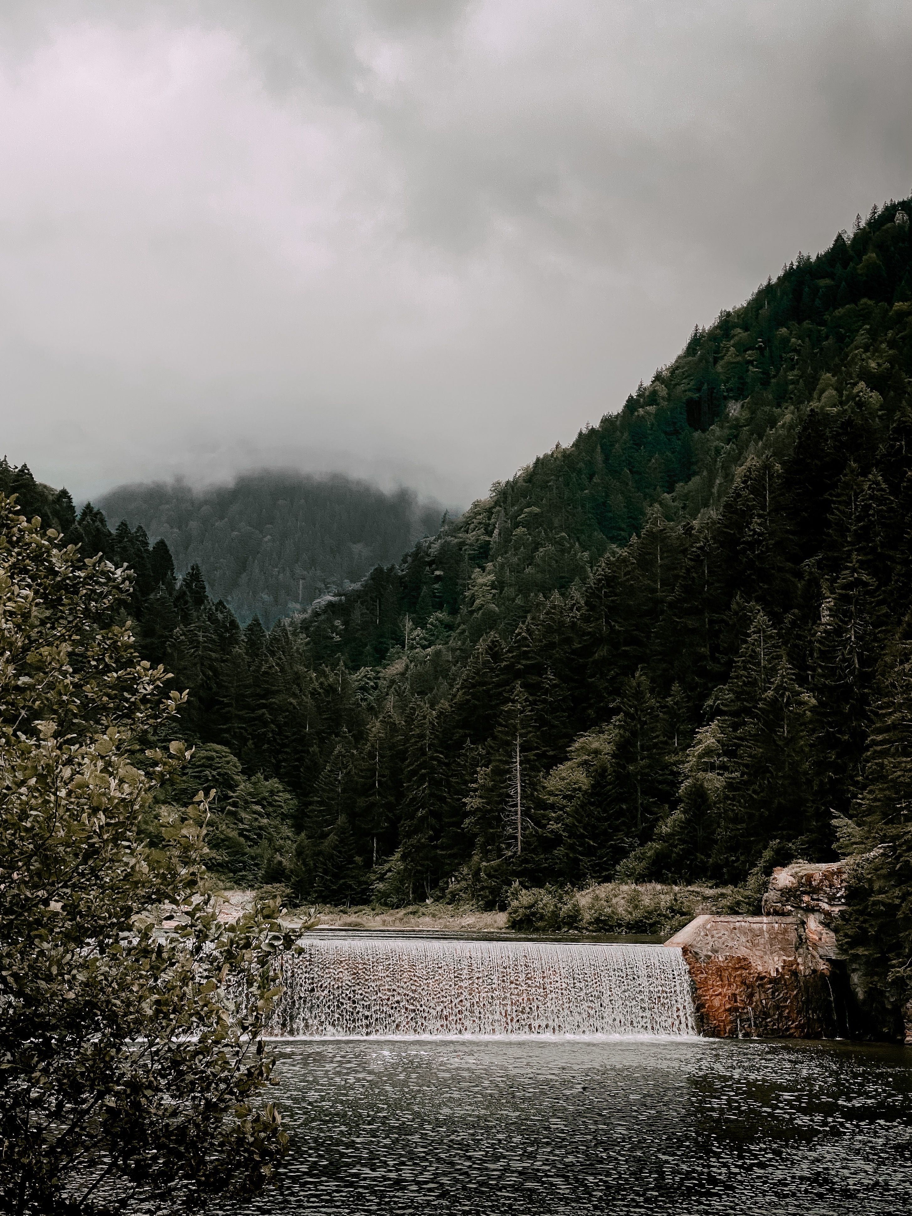 Green Trees on Mountain Under Cloudy Sky · Free Stock Photo