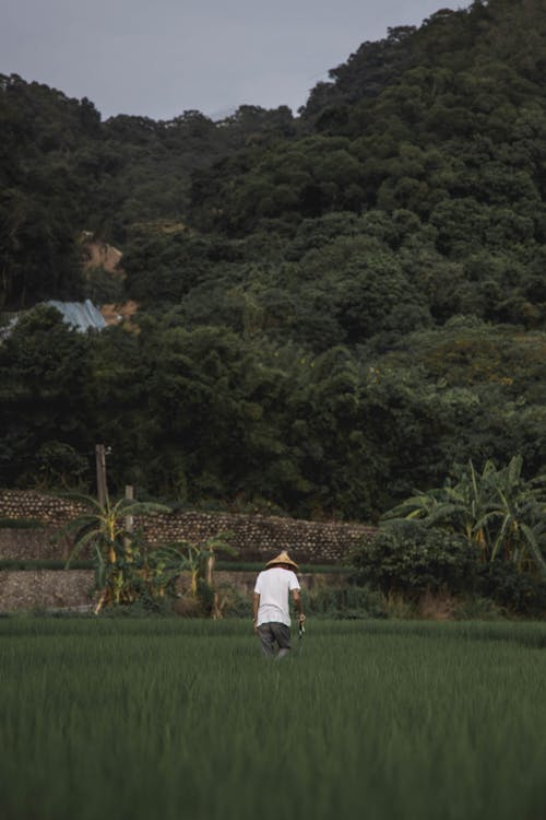 A Back View of a Farmer Standing on the Cropland