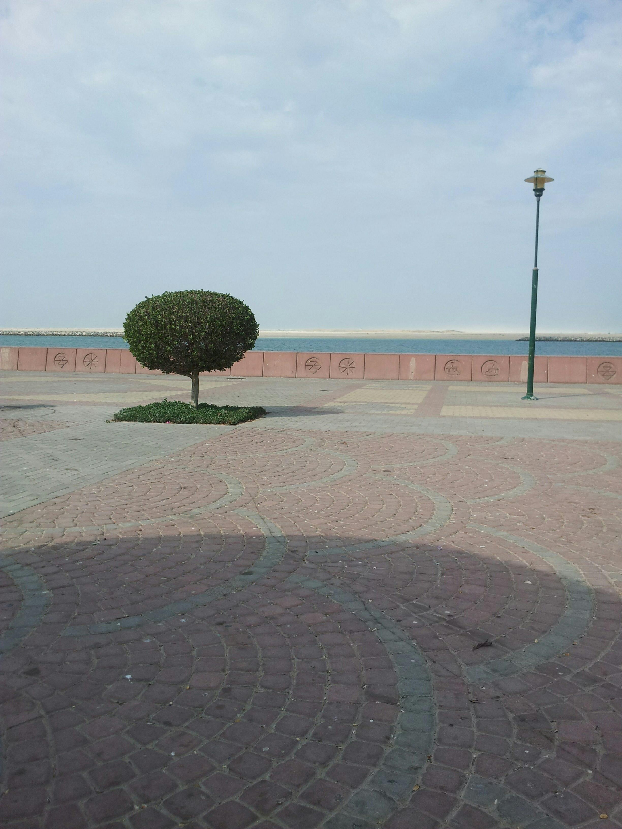 Careers at 7x Technologies