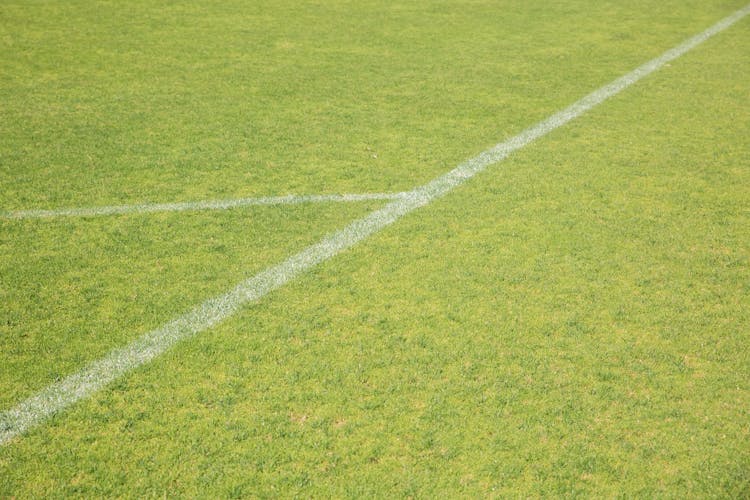 Green Grass Field With Lines