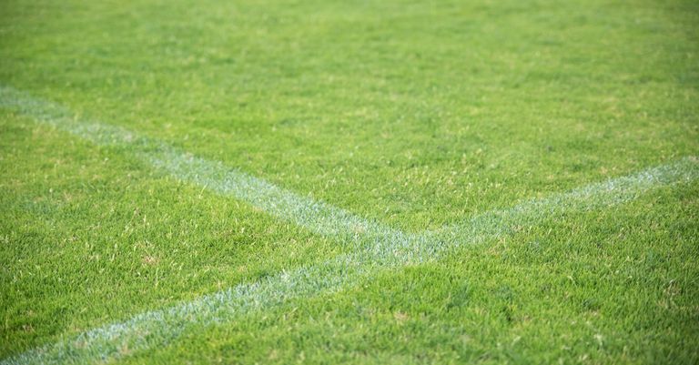 Doon secure semi‑final place with dominant quarter‑final win