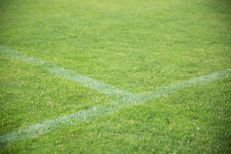 Lush green lawn - spray on grass seed