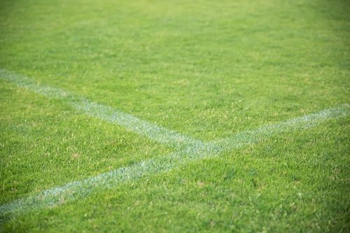 Free A vibrant green football field with white lines, showcasing sports readiness. Stock Photo
