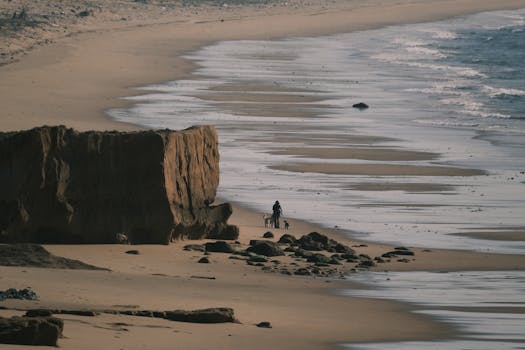 A lone person walks two dogs along a serene beach with rock formations at sunset.