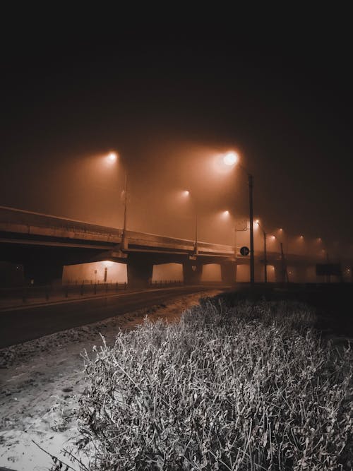 무료 거리, 겨울, 꽁꽁 언의 무료 스톡 사진