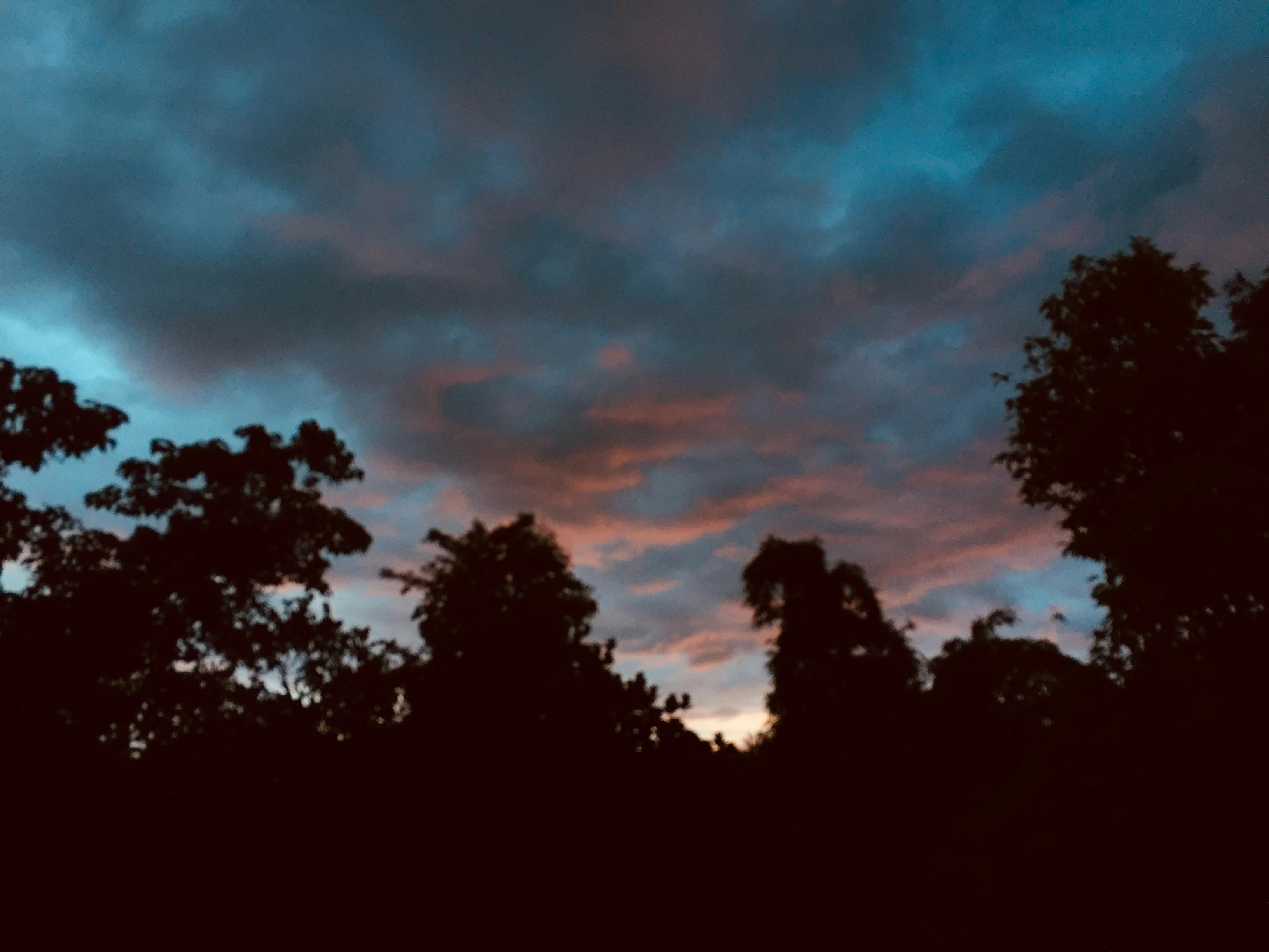 Family at a clinic reception desk checking in for vaccination appointments