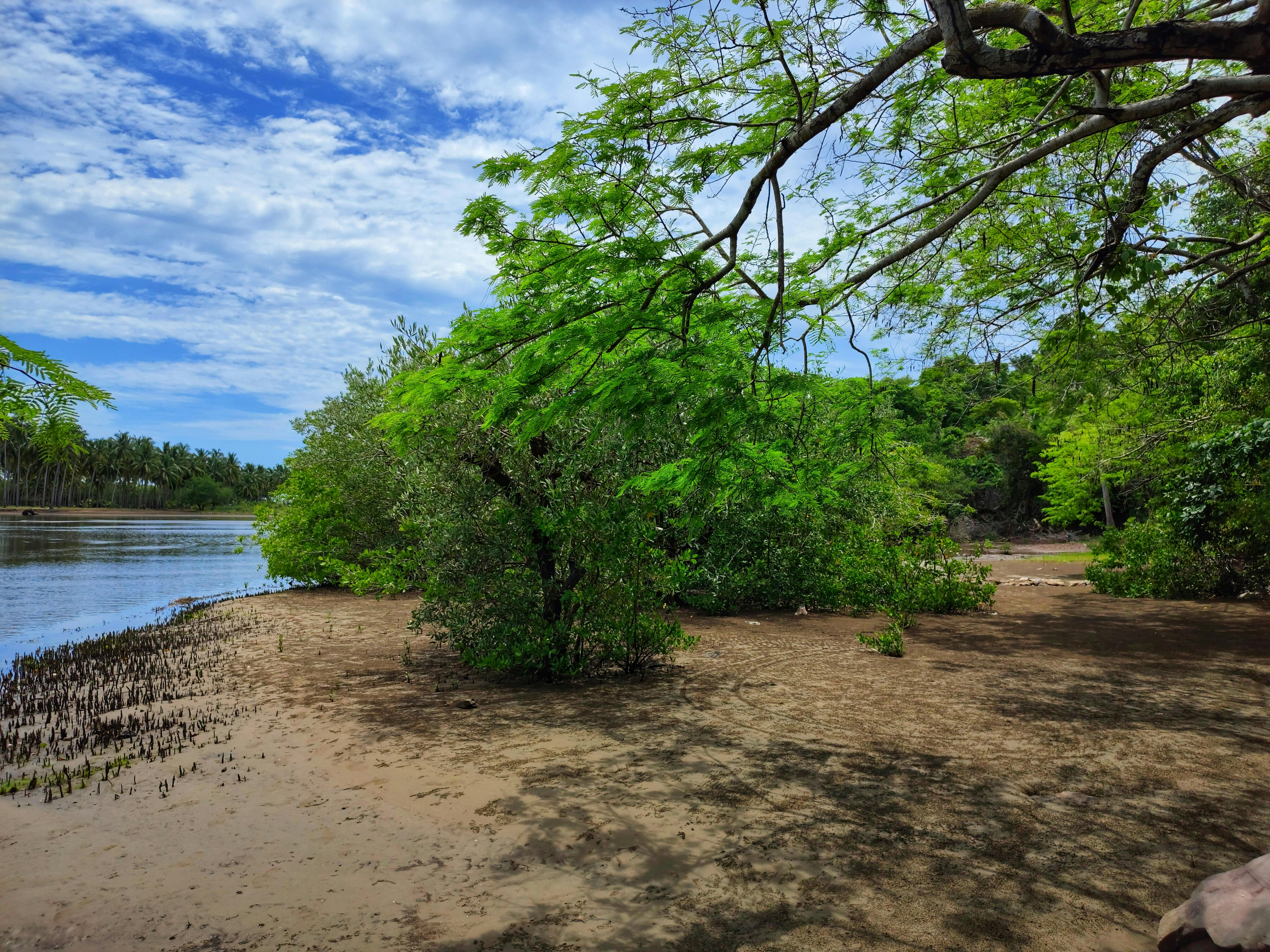 Ipoh Garden Care Home
