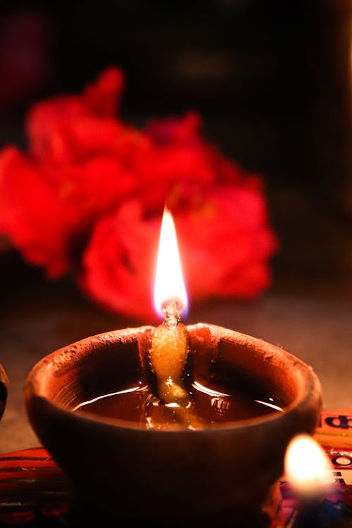 Free stock photo of diwali, diya, festival