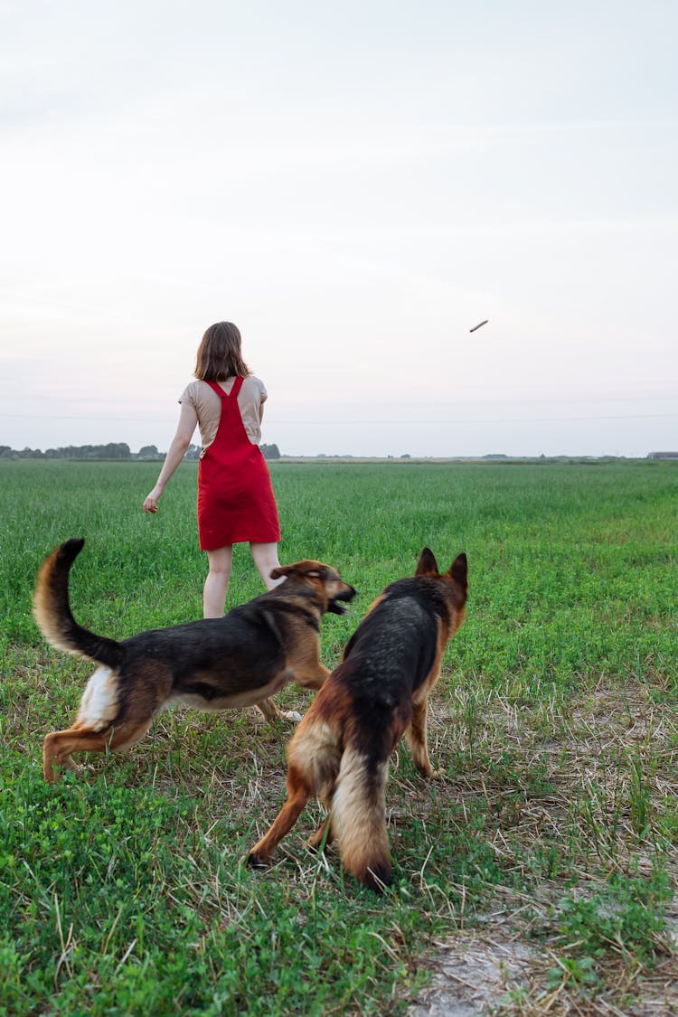 A Woman Playing With Her Dogs On The Field