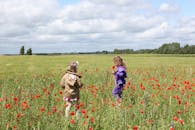 两个年幼的孩子在明亮的天空下，探索着充满活力的红色罂粟花地