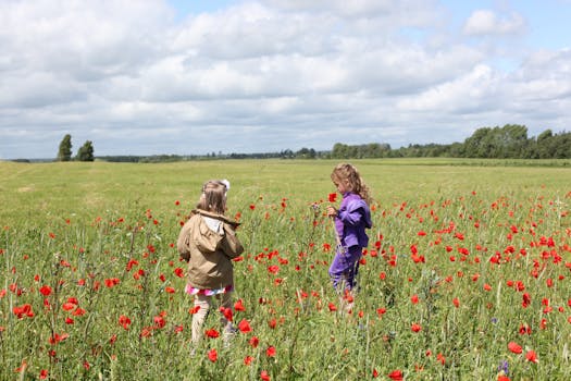 两个年幼的孩子在明亮的天空下，探索着充满活力的红色罂粟花地