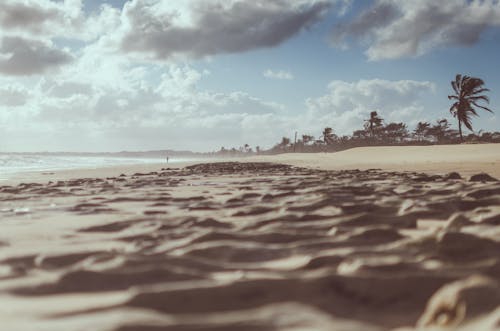 Free Brown Sands Under Blue Skies Photography Stock Photo