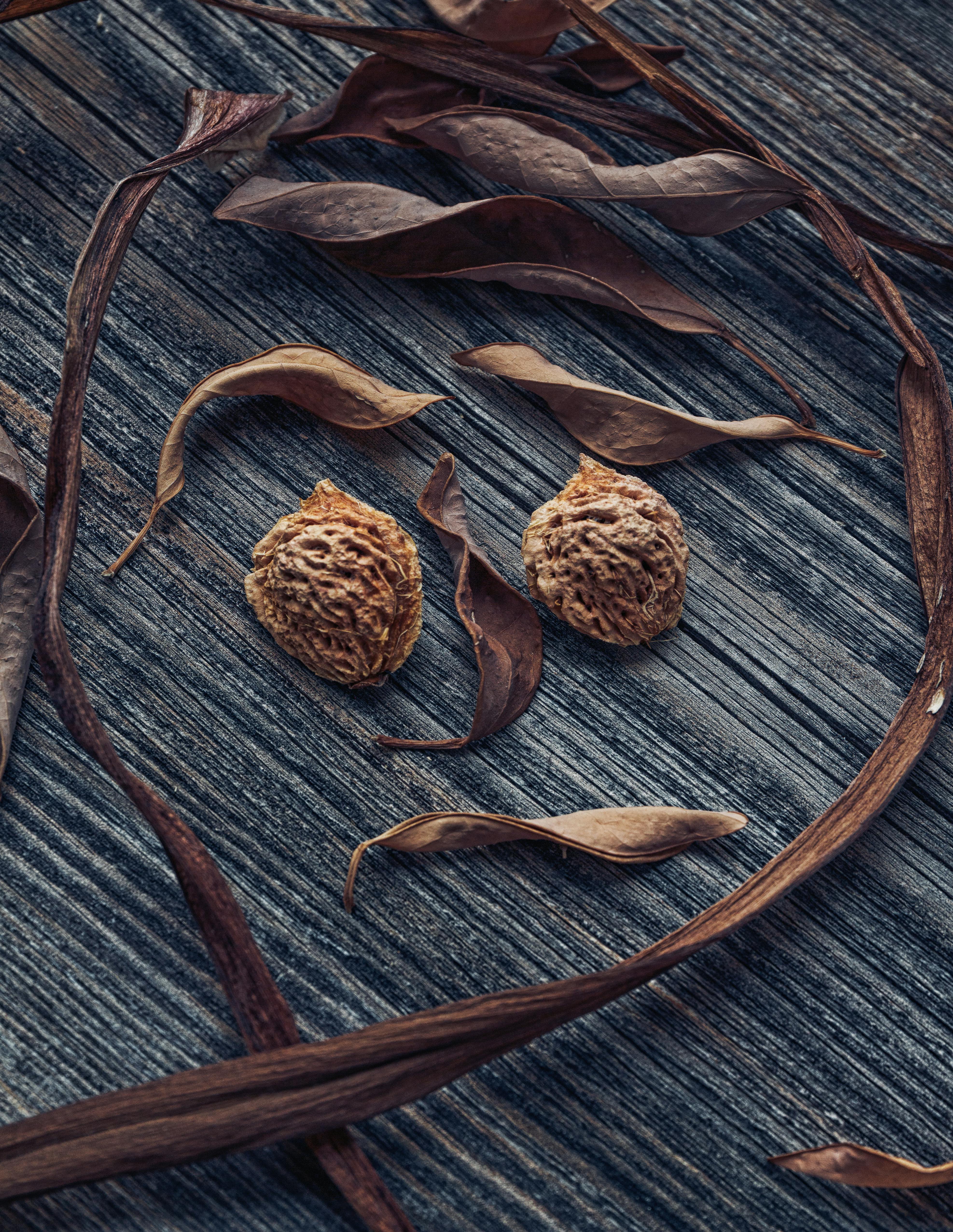 A shield icon protecting social media profiles.