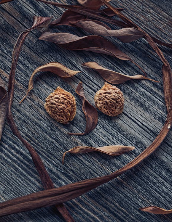 A shield icon protecting social media profiles.